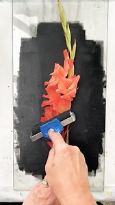 I have been teaching this gorgeous process for over 20 years and I never get tired of it, I would like to teach everybody in person but that isn’t always possible. However lots of people have been asking how they can learn this process or hone their skills, so here are a few things that I can offer… I have two online workshops and four ebooklets to guide you through the process, from start to finish, I also include lesson plans with some of them if you would like to share the process with others