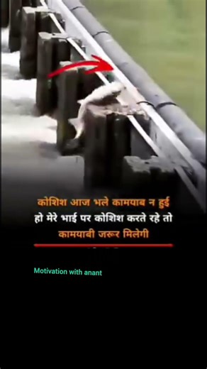 motivational shayari !!!#motivation #shorts feed #shorts #trending