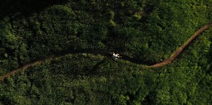 13K views · 131 reactions | What’s more fun? The climb or the descent? No one cares. Ride more, think less. The all-new Sensor features 29” wheels and 130mm of travel to make ease of any trail. #FeedYourLTS | GT Bicycles | Facebook