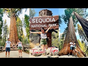 16 Sequoia National Park Travel Tips and Tricks | Sequoia National Park Travel Guide
