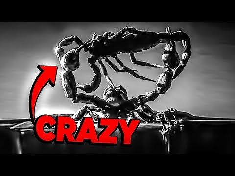 The Black Scorpion (1957): Cinema Secrets That Changed Giant Creature Movies Forever!