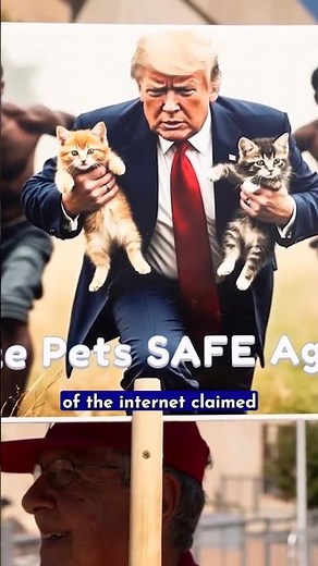 Why is Donald Trump posting so many AI cat pictures?
