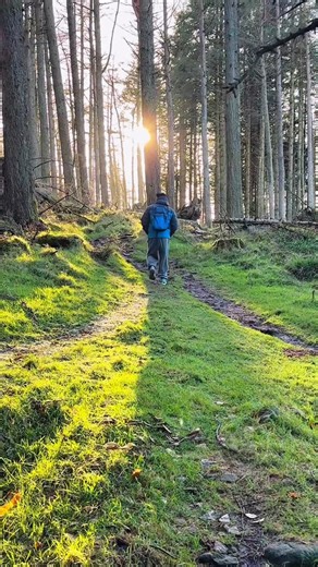 Matthew | 🌲🌅 Morning walk through the forest — where nature wakes you gently. Fresh air, birdsong, and calm paths to start the day right. Slow steps,... | Instagram
