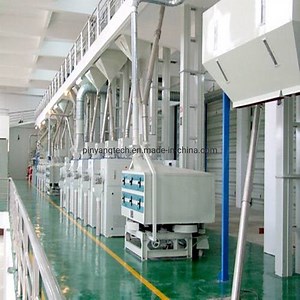 [Hot Item] Turnkey Grain Flour Milling Machines Producer