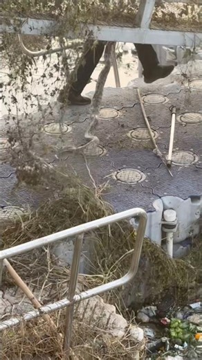 Python ne attack kiya 😨