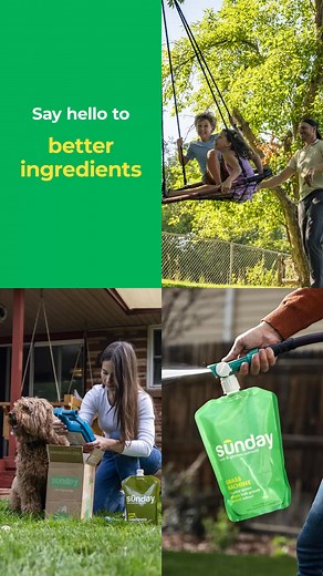 1.1K views | Grow a greener lawn that’s better for pets, people, and planet with Sunday. | Sunday | Facebook