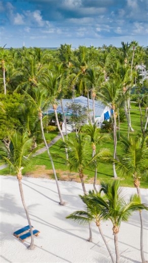 Cheeca Lodge & Spa, Islamorada on Instagram: "Beyond the palms lies a more intimate escape. Private amenities, dedicated spaces, and a stay that feels refreshingly personal. This is the Casitas at Cheeca Lodge. 🌴"