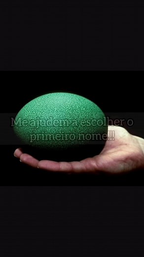 Vida de Emu: Cuidando do Seu Pet Australiano