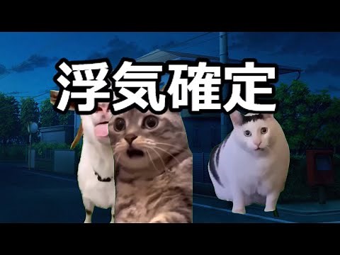 【猫ミーム】メンヘラ大集合【総編集】
