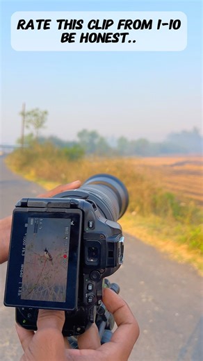 150-600mm va sigma lens #photography #birds #wildlife #nikon