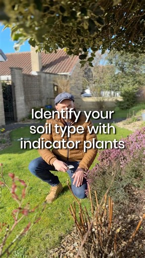 Learn about Indicator Plants!
