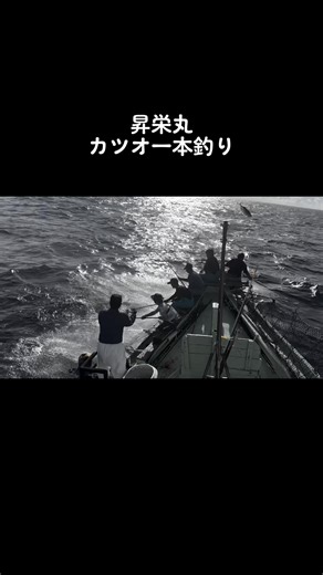 カツオ一本釣りまた行きたいどー🎣 #釣り #fishing #沖縄 #佐良浜 #昇栄丸 #漁師 #オススメ #美味しい #カツオ一本釣り #カツオ #鰹節 #TikTok