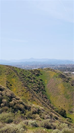 Spring sprang sprung, can anyone name this flower? 🌼☀️ #nature #flower #santaclarita | City of Santa Clarita Government