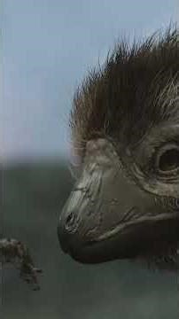 A single fossil in Siberia completely rewrites the history of dinosaurs