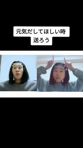 アリは今日も働いている - TikTok教室