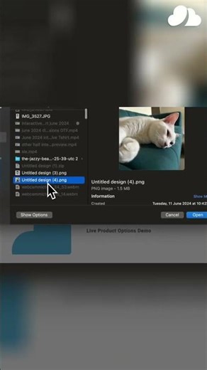 Upload Files On Shopify Like a PRO: Easy Guide! #shorts