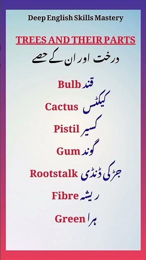 Trees and Their Parts | पेड़ और उनके हिस्से