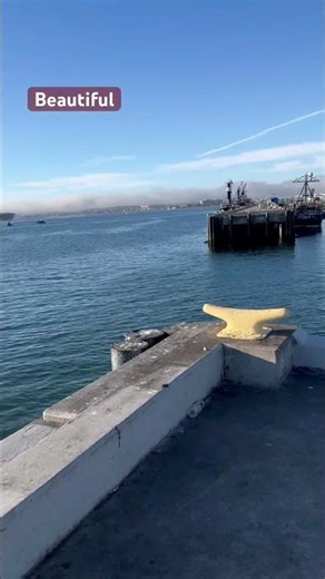 San Diego Bay + Coronado North Island + sun. Downtown. #over50 #sandiego #sittingonthedockofthebay