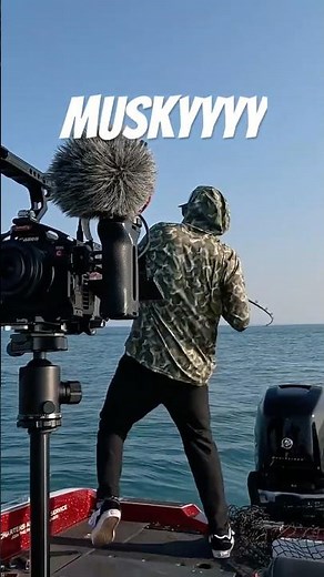 What’s the best bait for musky fishing…#shorts #fishing #musky #fisherman