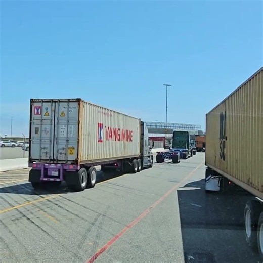 Transporte terrestre Nacional e Internacional, Custodia Armada, Mensajería y Paquetería.