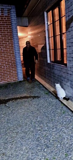 Lenkaran,ATA nin ocagi