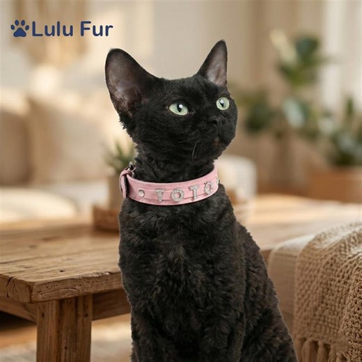 Personalized Sparkle Dog Collar With Custom Crystal Letters | Bling Rhinestone Name Cat Collar | Soft Suede Custom Pet Jewelry Gift - Etsy