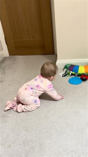 What sort of frog is this ? #babyshorts #daughter #funny #fyp
