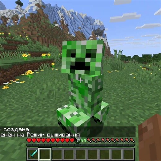 Secret Minecraft Commands 👀 #minecraft #minecraftshorts #shorts #waitforend #minecraftcommands