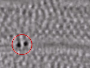 Scientists Capture First-Ever Footage Of Atoms Bonding