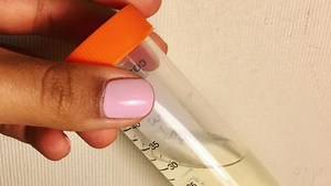 Biofuels Technology Initiative