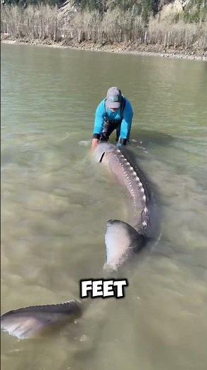 Woman gets her head sucked by a giant fish