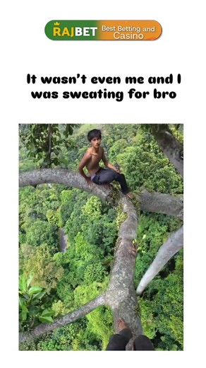 universal mems on Instagram: "The post showcases a gripping video of young men in a dense forest precariously traversing a slender tree branch dozens of metres above ground, with one hanging upside down in a heart-stopping manoeuvre, eliciting the poster's empathetic tension in the caption. , a curator of captivating visuals on history and nature, it has rapidly garnered 664,000 views and 1,983 likes since 21 December 2025, reflecting widespread intrigue in human feats of daring amid everyday sa