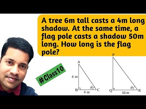 A tree 6m tall casts a 4m long shadow. At the same time, a flagpole casts a shadow 50m long How long