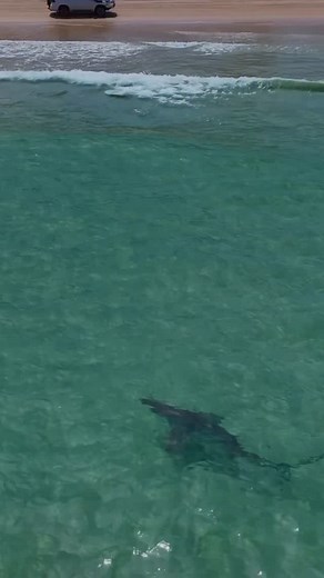 41K views · 1.3K reactions | NEW YOUTUBE DROPPED 酪酪. By watching my...