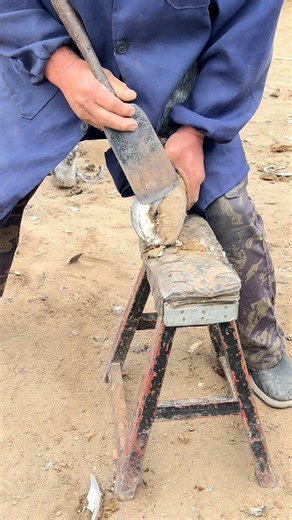 5.8K views · 63 reactions | Caring for Horse and trimming their nails #Ep42 #HoofCare #CowCare #donkey Care #hoofcare #Cow #HorseCare | Hoof Care | Facebook