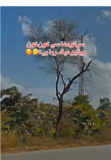 سرگودها سے کون کون ویڈیو دیکہ رہا ہے؟🤔🥰 #sargodha #foryoupage #sargodhawaly #1millionviews #Sgd