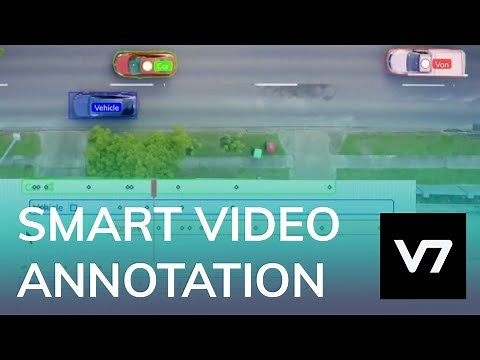 Video Annotation - V7 Darwin