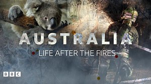 Australia fires: Life during and after the worst bushfires in history