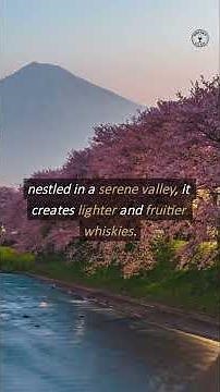 Nikka From the Barrel Explained, Japanese Whisky Power and Balance