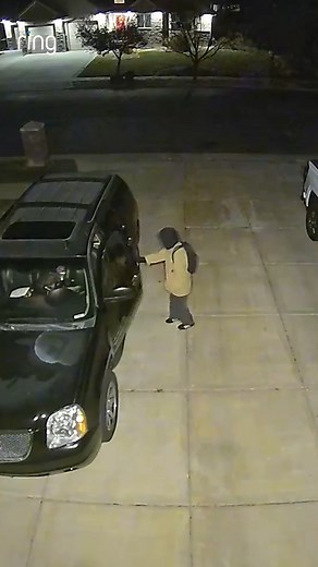 321K views · 1.6K reactions | Motion Alert. ✅ Floodlight Cam Siren activated. ✅ Stranger deterred. 奈 | Ring | Facebook