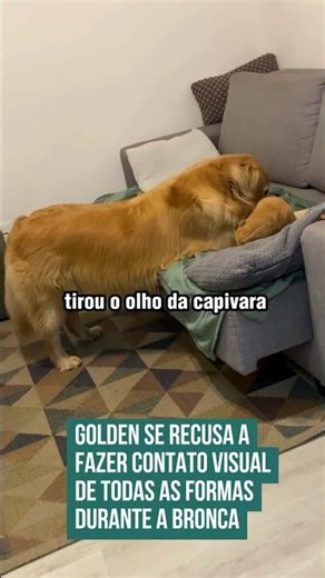 Aww, oh my God😍😍❤️❤️