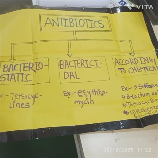 || chart and leaflet making ideas ||