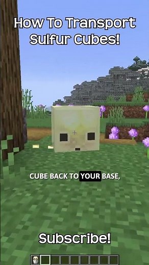 How To Transport Sulfur Cubes In Minecraft!