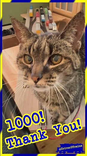 @DriverDTrains #1000 Subs Short — Thank you!!! #DriverDTrains #DCC-EX #JMRI #Trains #Short