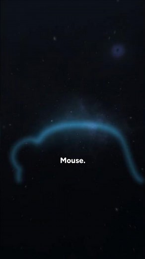 The Wooting Mouse Is Here.