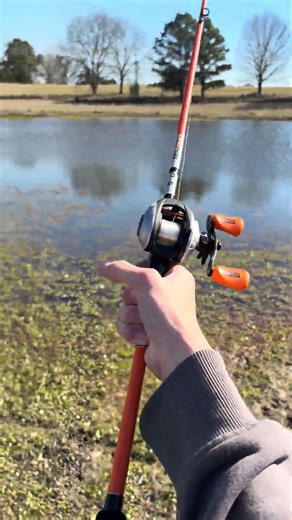 Abu Garcia Max Stx casting #fishing #subscribe