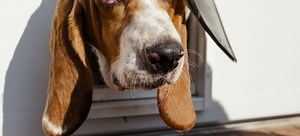 4 Essential Pet Door Replacement Parts | DoItYourself.com