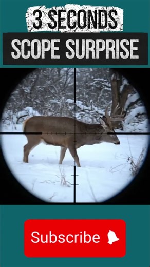 Red Deer Tracked in Winter — Ultra Cinematic Scope