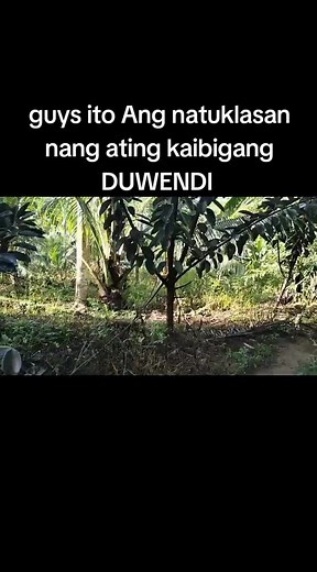 ‏#creatorsearchinsights #viral