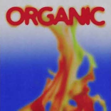 [new] 페노메코 (PENOMECO) - BOLO (Feat. YDG)